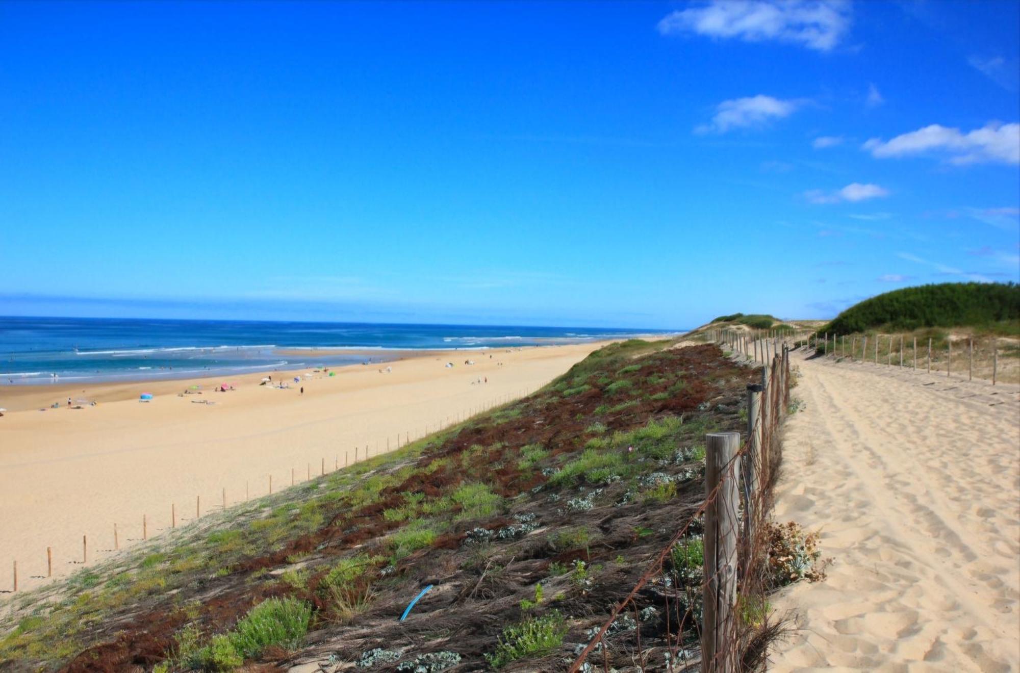 Appartement Avec Terrasse/Bord De Mer/Ideal Surf Seignosse Εξωτερικό φωτογραφία