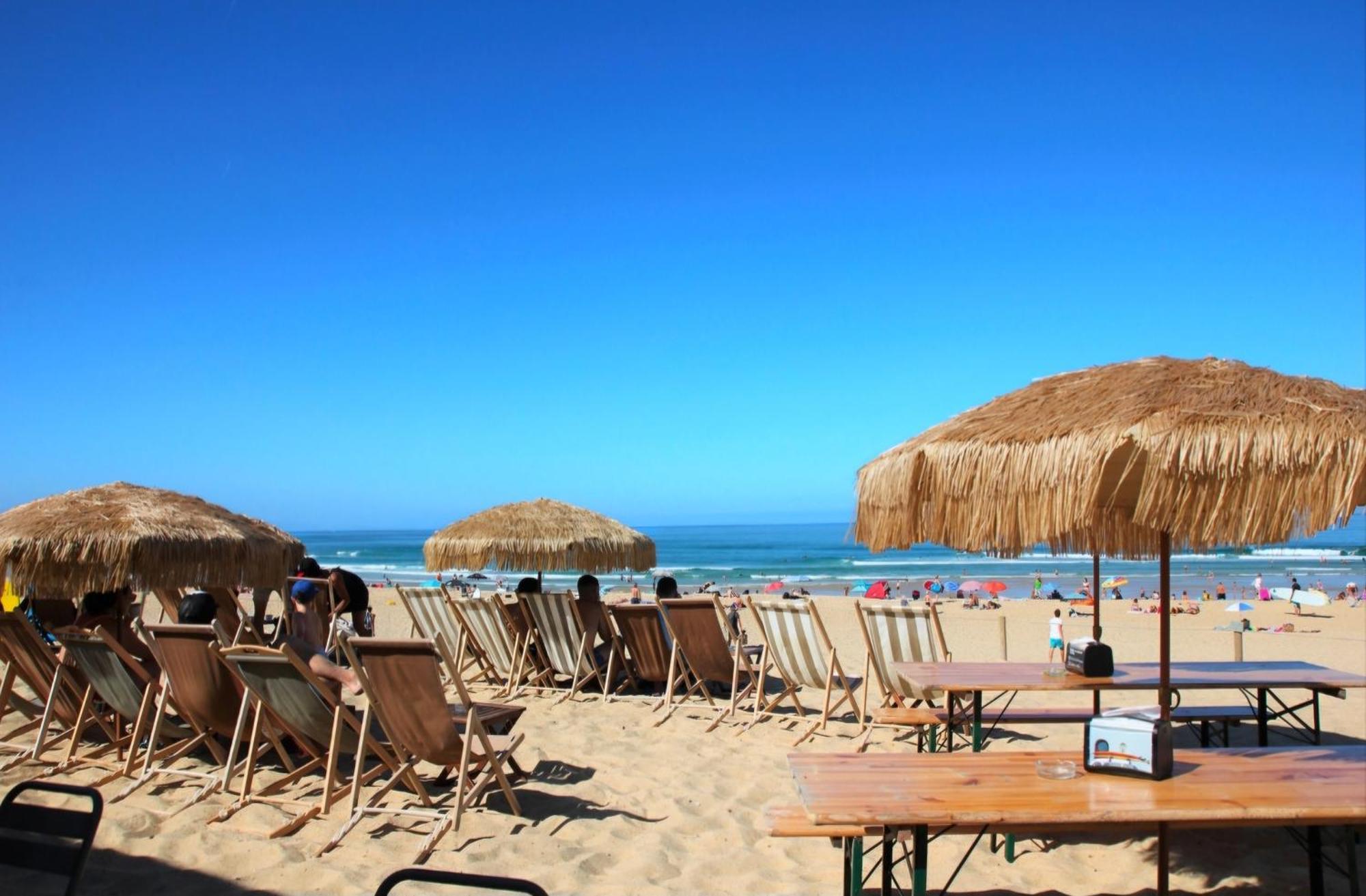 Appartement Avec Terrasse/Bord De Mer/Ideal Surf Seignosse Εξωτερικό φωτογραφία